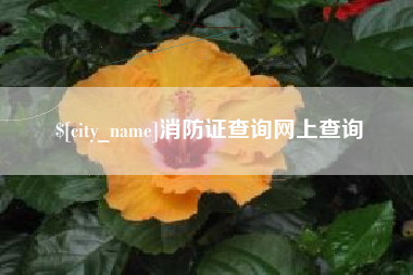 荆州消防证查询网上查询