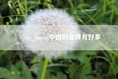 荆州中国的金牌有好多