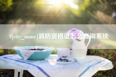 荆州消防资格证怎么查询系统