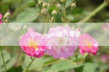 荆州第九金是