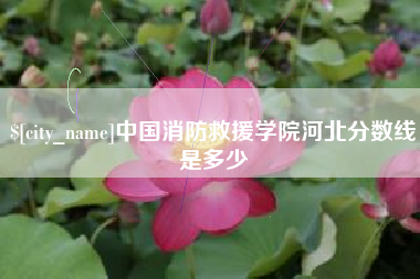 荆州中国消防救援学院河北分数线是多少