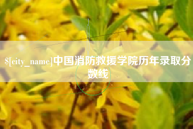 荆州中国消防救援学院历年录取分数线