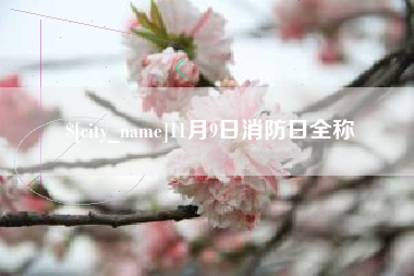 荆州11月9日消防日全称
