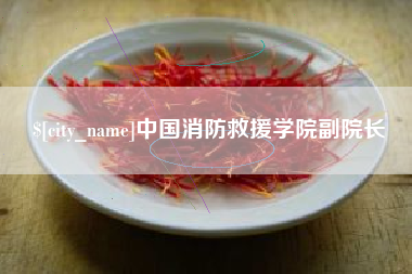 荆州中国消防救援学院副院长