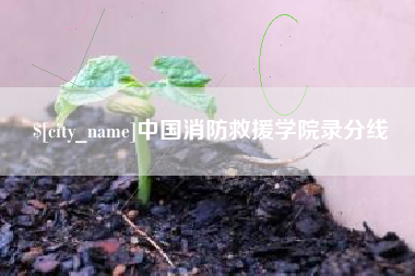 荆州中国消防救援学院录分线