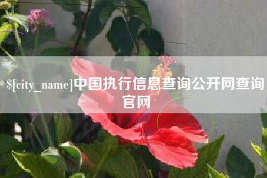 荆州中国执行信息查询公开网查询官网