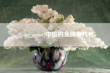荆州中国的金牌有几名