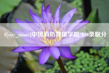 荆州中国消防救援学院2020录取分