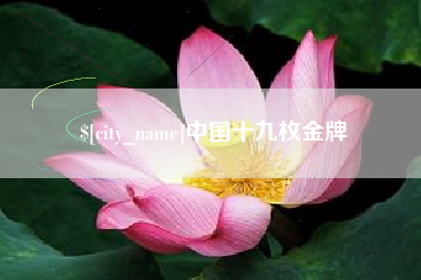 荆州中国十九枚金牌