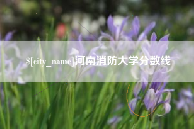 荆州河南消防大学分数线
