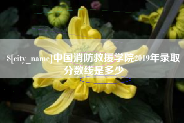荆州中国消防救援学院2019年录取分数线是多少