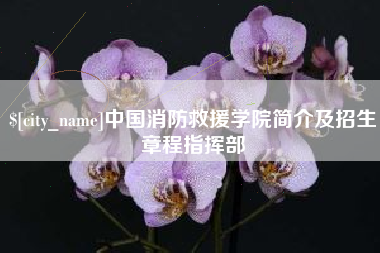 荆州中国消防救援学院简介及招生章程指挥部
