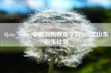 荆州中国消防救援学院2021年山东招生计划