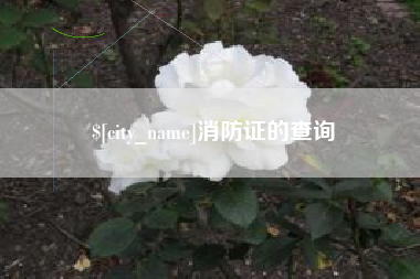 荆州消防证的查询