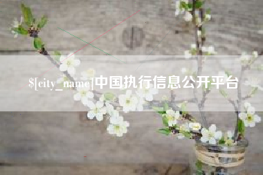 荆州中国执行信息公开平台