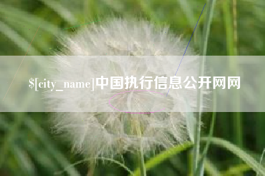 荆州中国执行信息公开网网