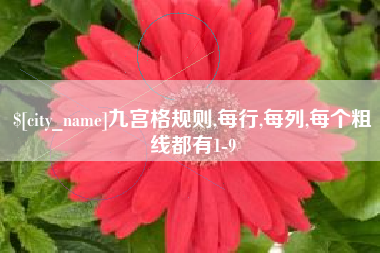 荆州九宫格规则,每行,每列,每个粗线都有1-9