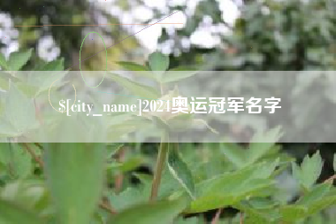 荆州2024奥运冠军名字