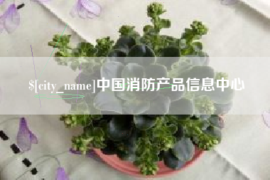 荆州中国消防产品信息中心