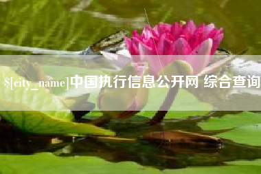 荆州中国执行信息公开网 综合查询