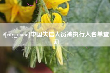 荆州中国失信人员被执行人名单查询