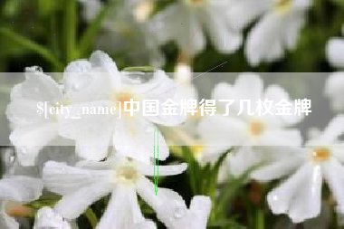 荆州中国金牌得了几枚金牌