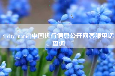 荆州中国执行信息公开网客服电话查询