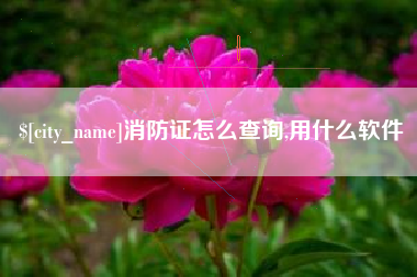 荆州消防证怎么查询,用什么软件