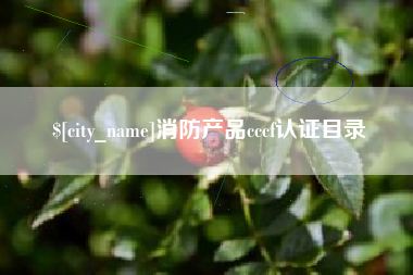 荆州消防产品cccf认证目录