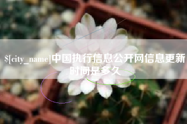 荆州中国执行信息公开网信息更新时间是多久
