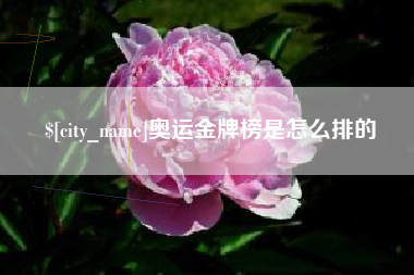 荆州奥运金牌榜是怎么排的