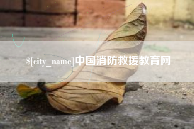 荆州中国消防救援教育网