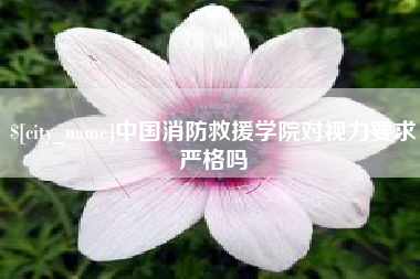 荆州中国消防救援学院对视力要求严格吗