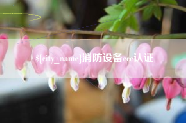 荆州消防设备ccc认证