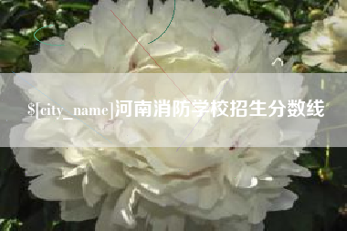 荆州河南消防学校招生分数线