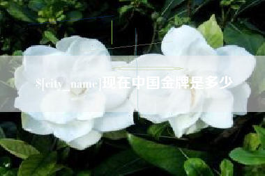 荆州现在中国金牌是多少