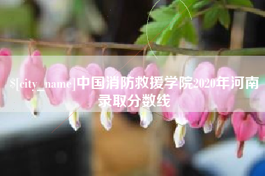 荆州中国消防救援学院2020年河南录取分数线