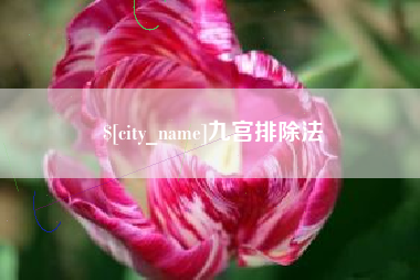 荆州九宫排除法