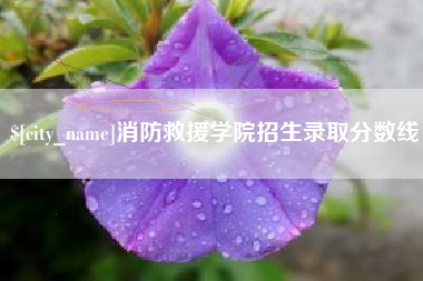 荆州消防救援学院招生录取分数线
