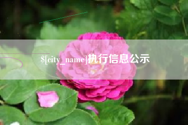 荆州执行信息公示