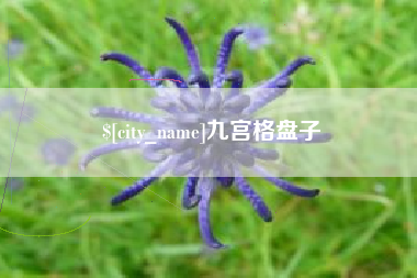 荆州九宫格盘子