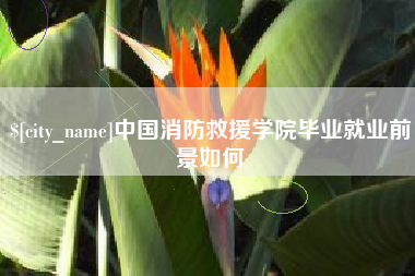 荆州中国消防救援学院毕业就业前景如何