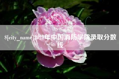 荆州2021年中国消防学院录取分数线
