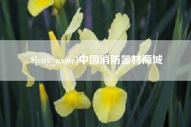 荆州中国消防器材商城