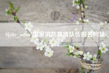 荆州国家消防救援队伍报名网址