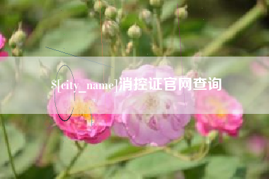 荆州消控证官网查询