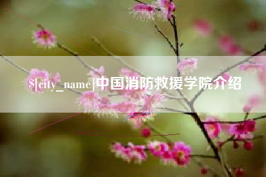 荆州中国消防救援学院介绍