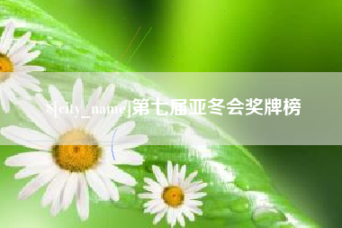 荆州第七届亚冬会奖牌榜