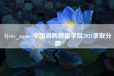 荆州中国消防救援学院2021录取分数