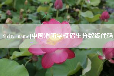 荆州中国消防学校招生分数线代码